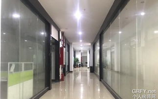 區域性企業與服務平臺的價值共振 從廣州房產到東莞光學，多元業態的共生之道